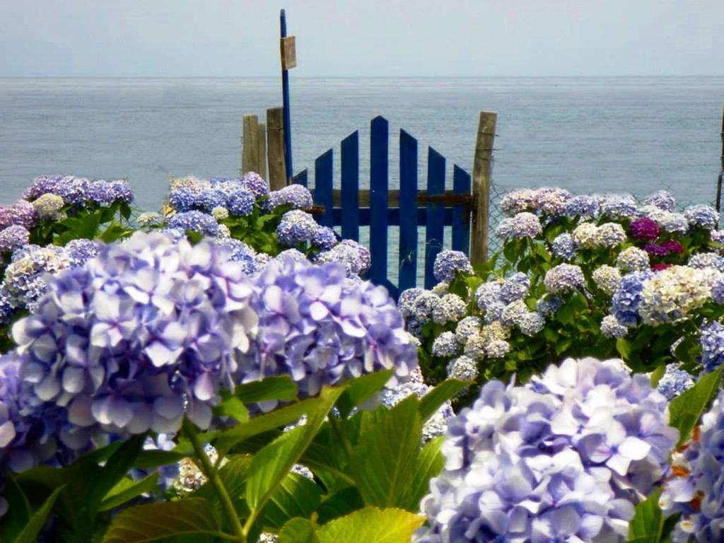 Archondissa Beach Aparthotel Терма Экстерьер фото