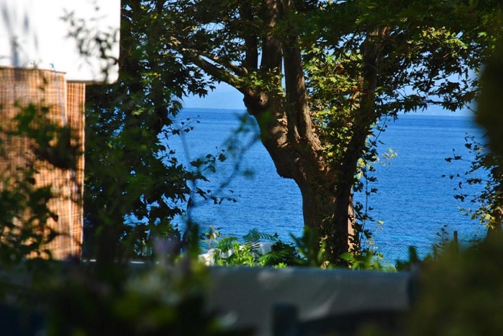Archondissa Beach Aparthotel Терма Экстерьер фото